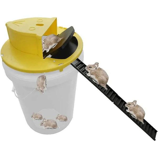 A Melhor Ratoeira Inteligente Reutilizável - Zenas EcoTrap
